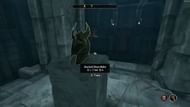 A screenshot from Oblivion Remastered (Image via Bethesda Softworks || YouTube/@ZaFrostPet)